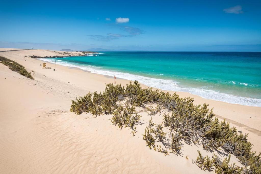Majos Fuerteventura * Tarajalejo